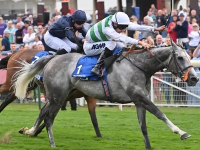 Arc winner Alpinista retired to stud after small setback